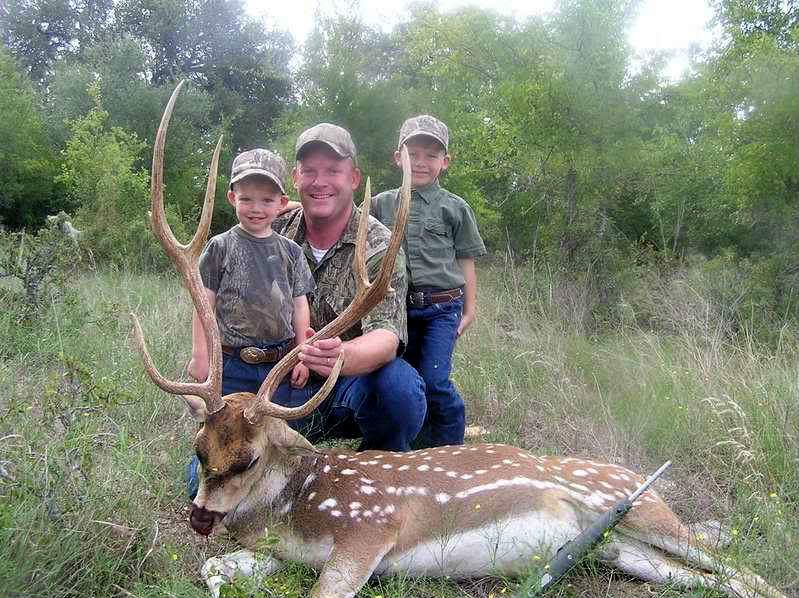 Shoulder penetration whitetail you migraine Something is. shoulder penetration whitetail Such casual